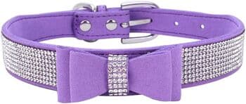 Collar - XS