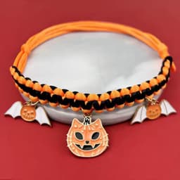 Halloween Collar — photo 1