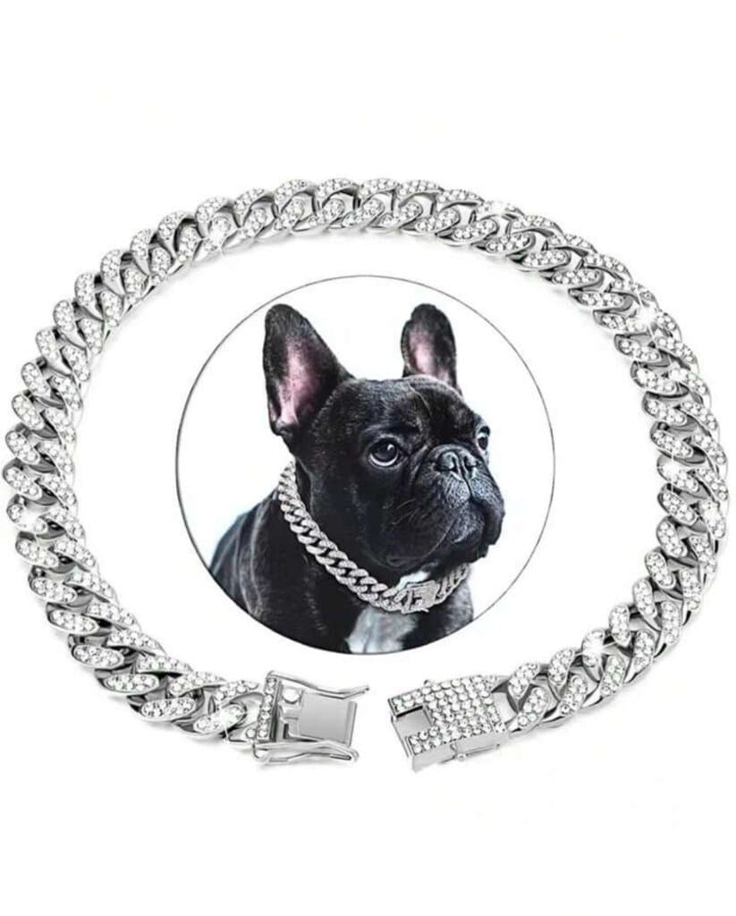 Luxury Chain Collar - 30cm