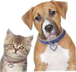 Luxury Collar - L — photo 2