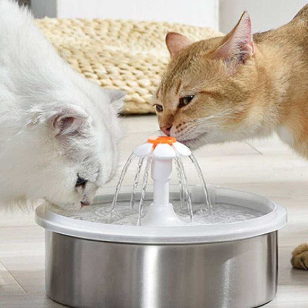 Steel Water Fountain - 2.2L 5