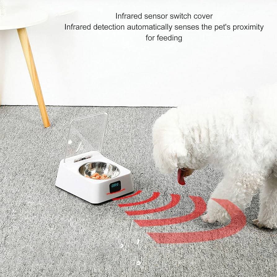 Automatic Feeder 3