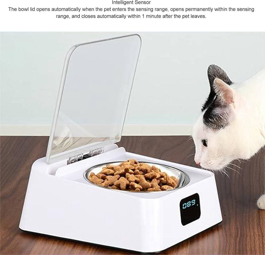 Automatic Feeder 4
