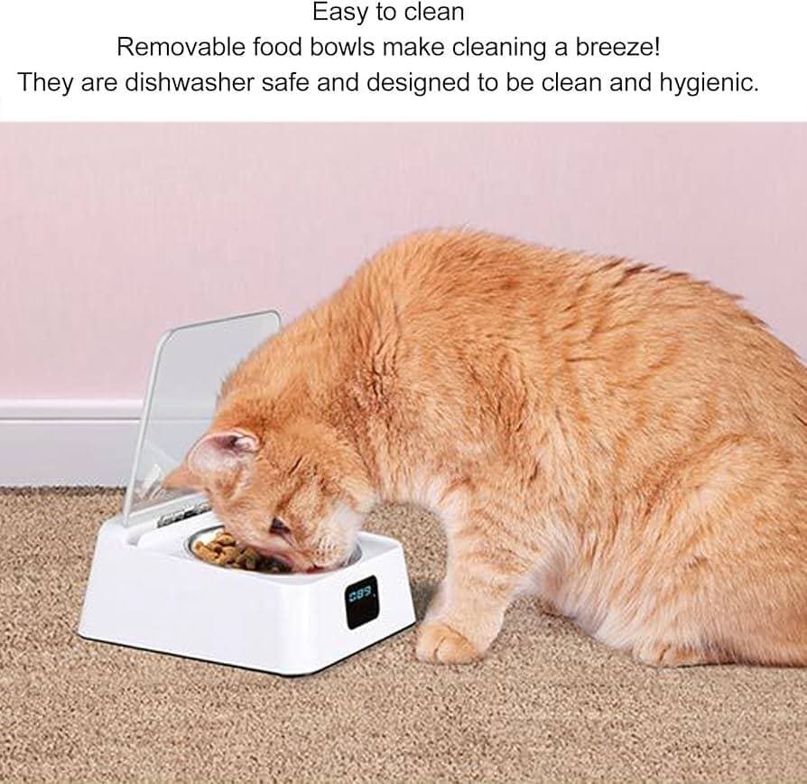 Automatic Feeder 5