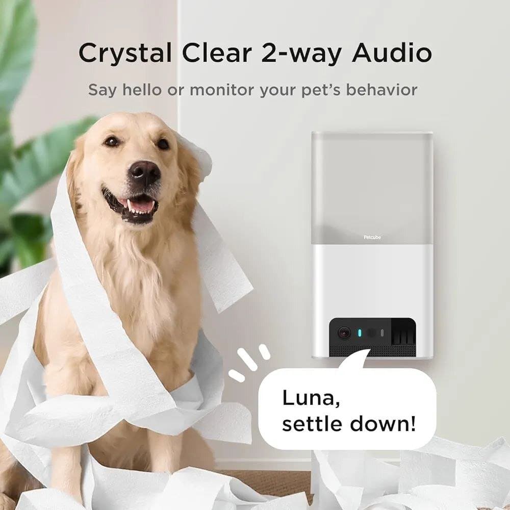 Petcube Smart Food Dispenser 4