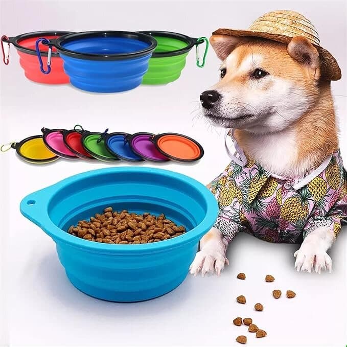 Collapsible Bowls - 13cm 5