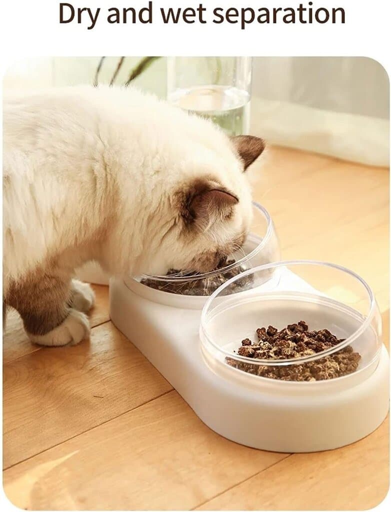 Dual Bowl & Water Dispencer 2