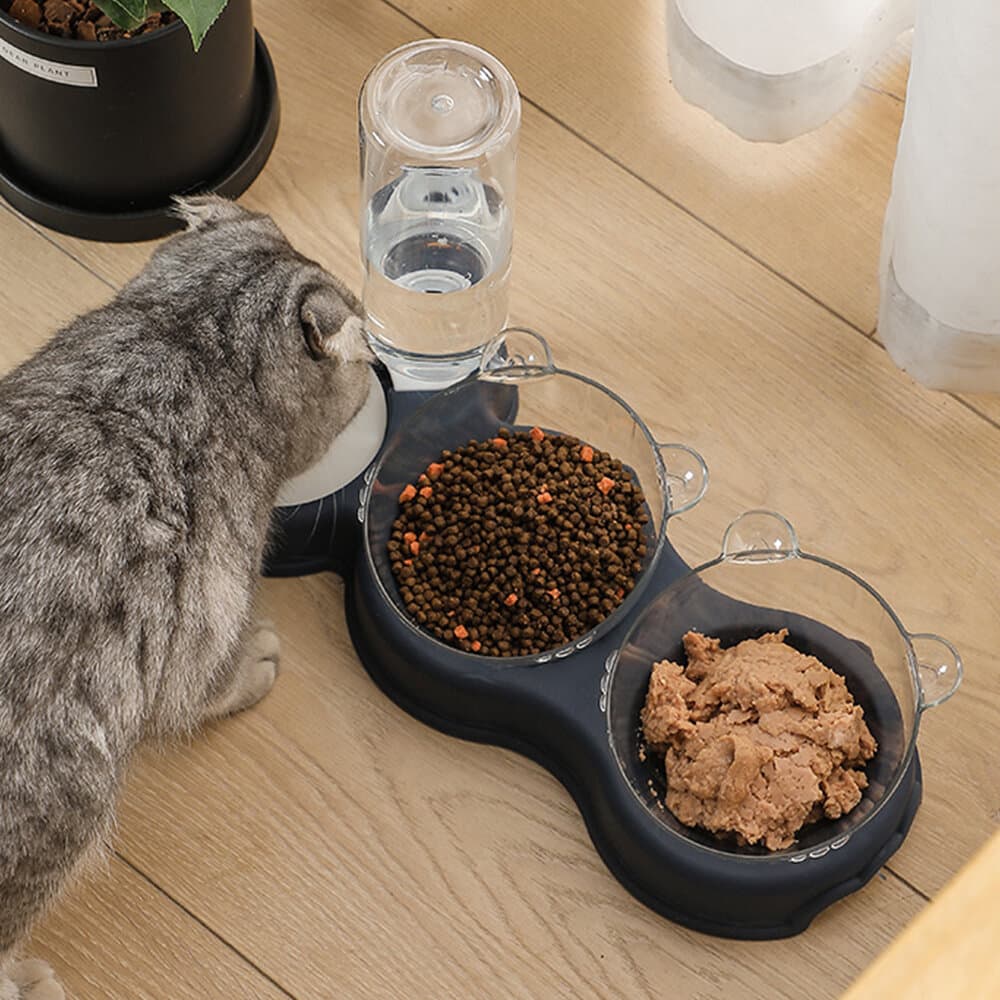 Dual Feeder & Water dispenser 2