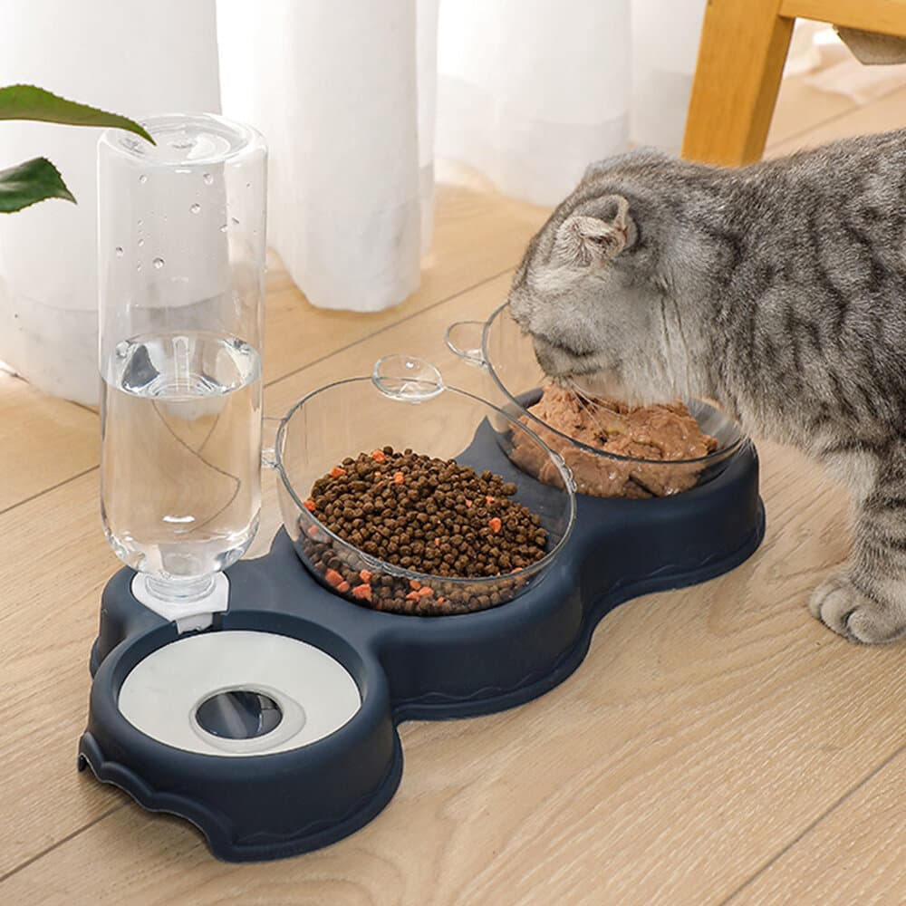 Dual Feeder & Water dispenser 3