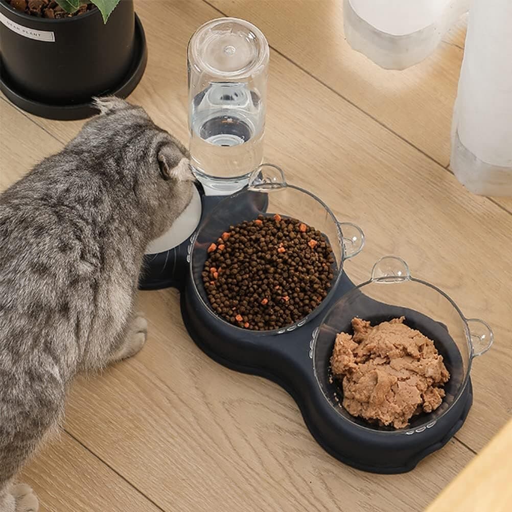 Dual Feeder & Water dispenser 2