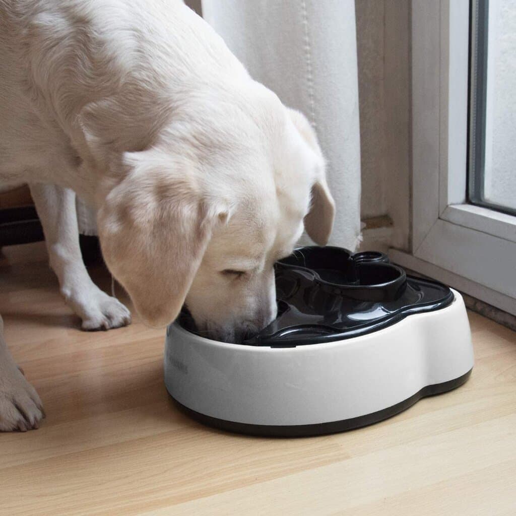 Navaris Automatic Food and Water Dispenser 2