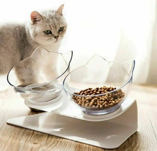 Food & Water Bowls - A 3