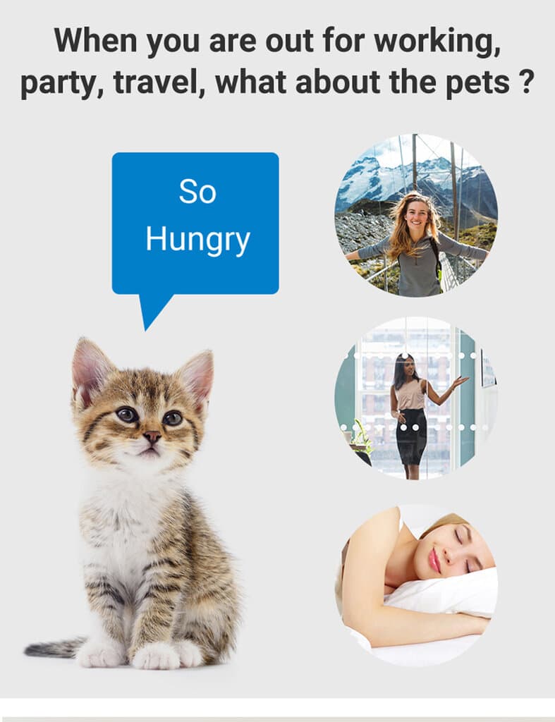 Surrunme Pet Feeder 2