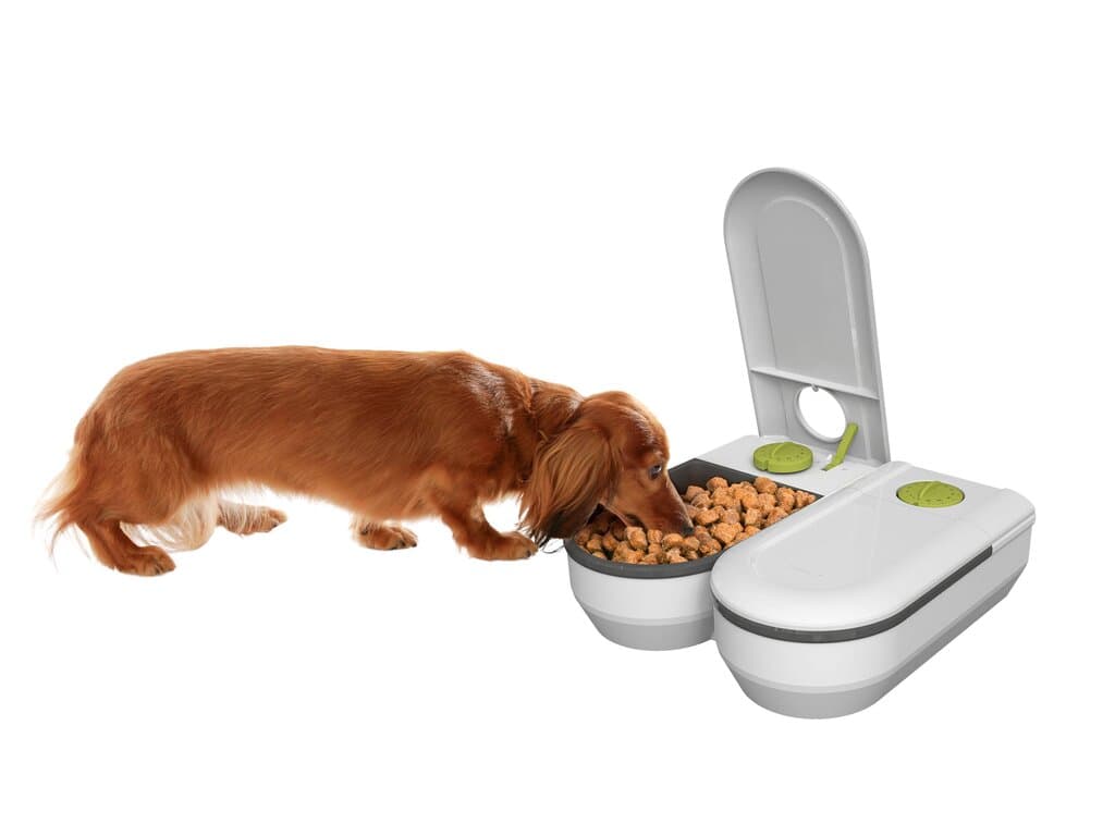 Zoofari Automatic Feeder 1