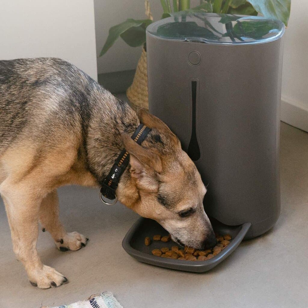 Navaris Automatic Feeder 2