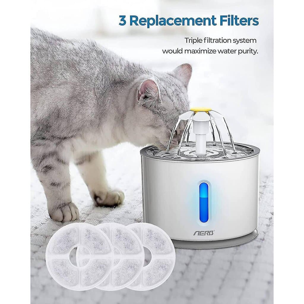 Water Fountain - 2.4L 4