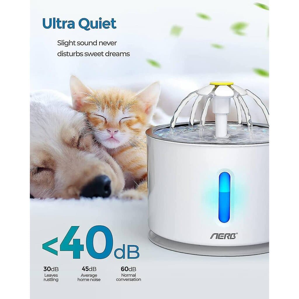 Water Fountain - 2.4L 5