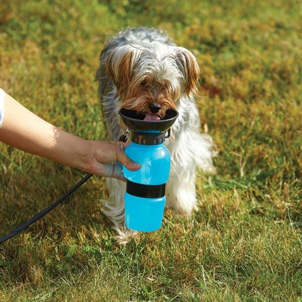 Water Bowl Bottle 3