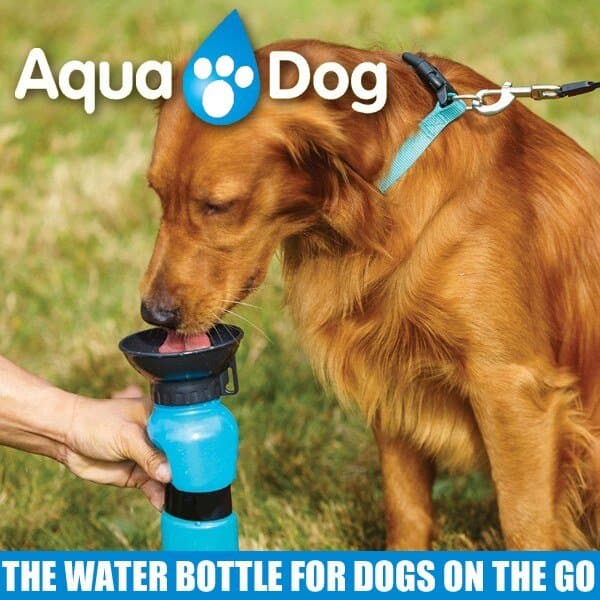 Water Bowl Bottle 5