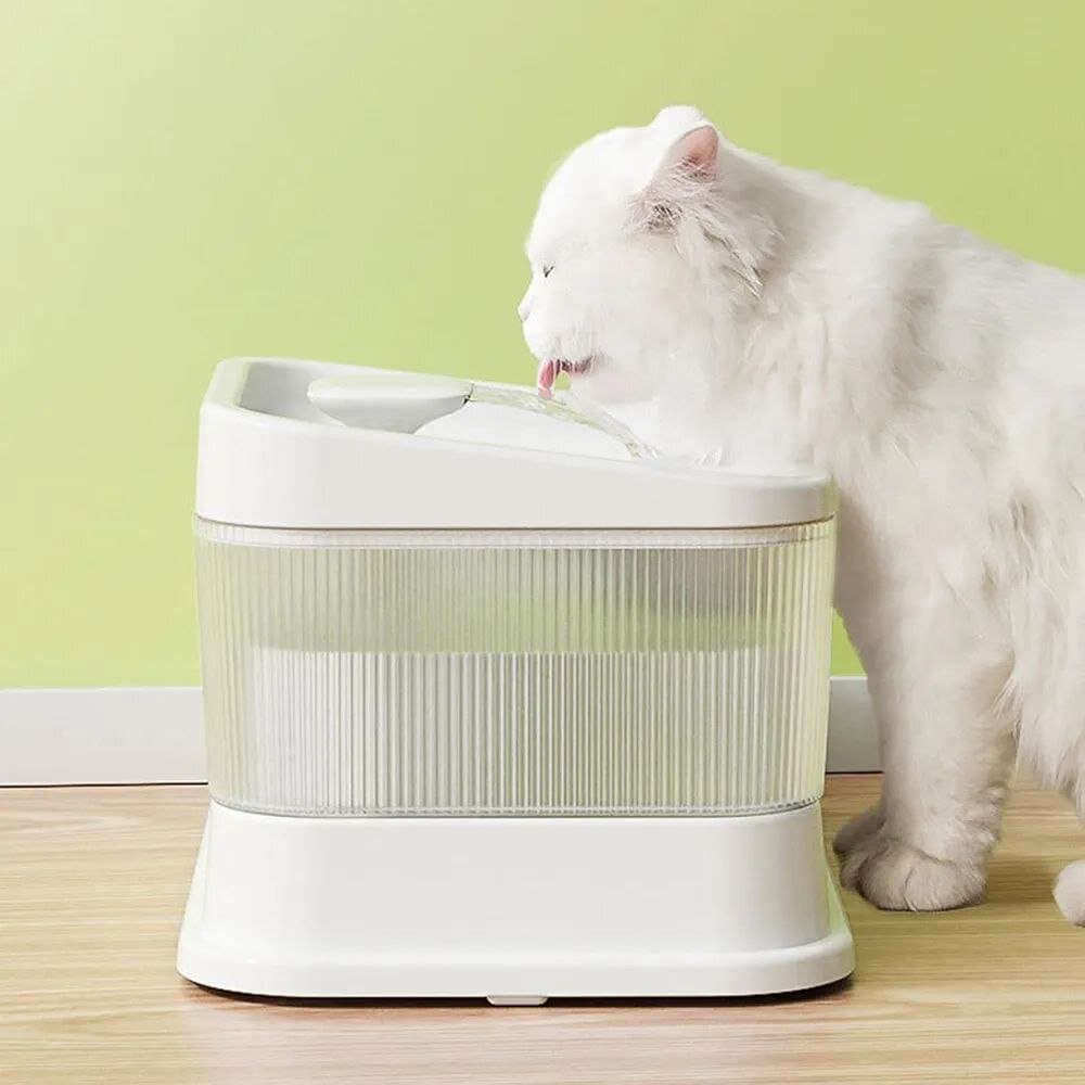 Water Fountain & Bowls - 2L 5