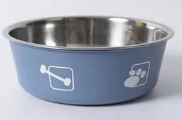 Blue-Gray/Silver
