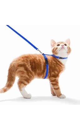 Cat Leash & Harness — photo 2