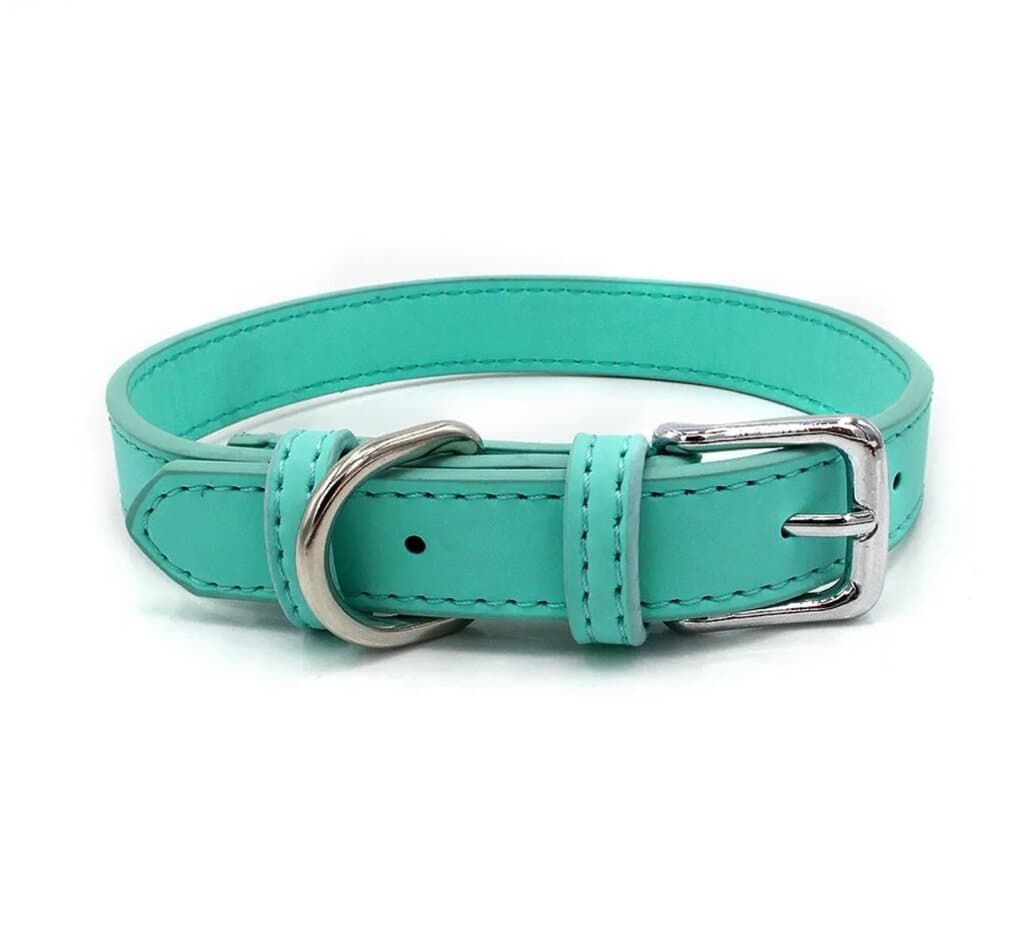 Cat Collar - M