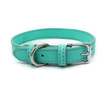 Cat Collar - S