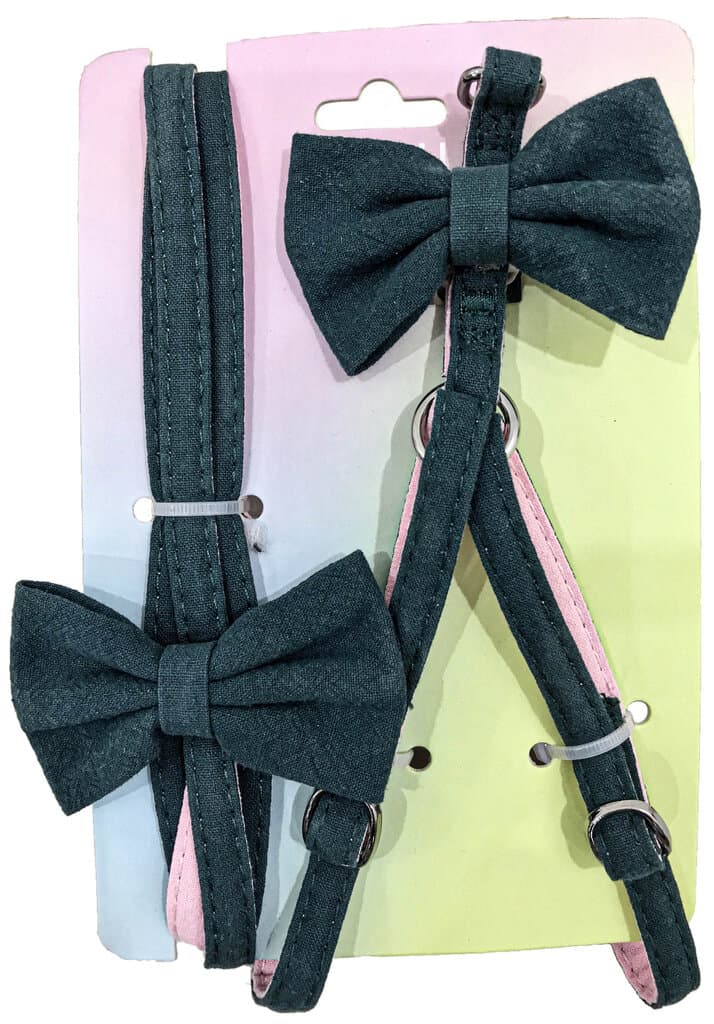 Harness