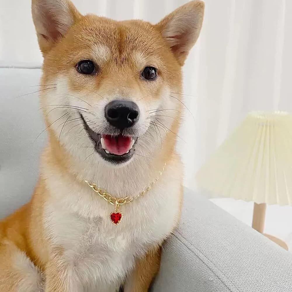 Luxury Collar - S — photo 5
