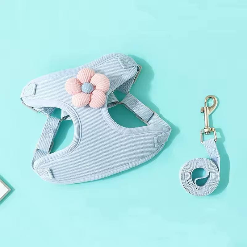 Soft Leash & Harness - L