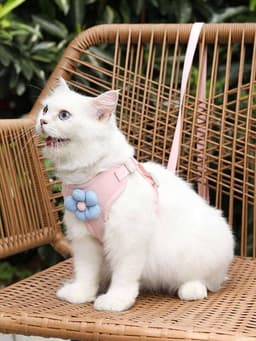 Soft Leash & Harness - L — photo 2