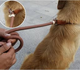 Leash - 0.6cm — photo 3