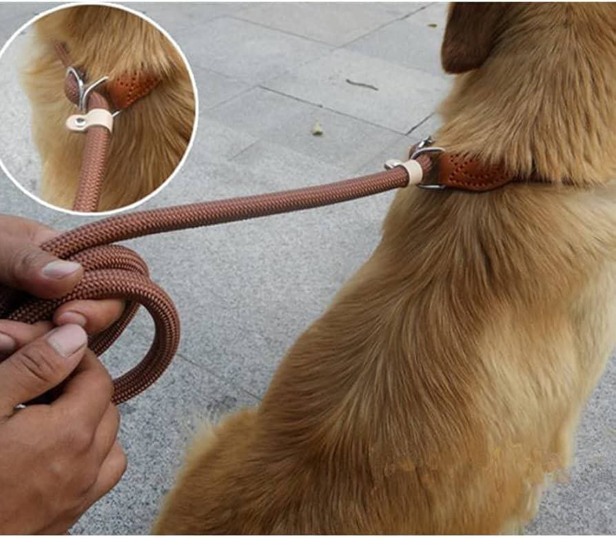 Leash - 0.6cm — photo 3