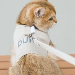 Cat Leash & Harness - S — photo 2
