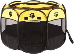 Yellow/Black