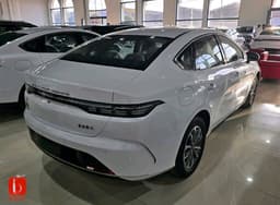 BYD Destroyer — photo 4