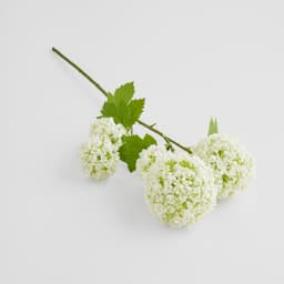 Home & You Flower — photo 1