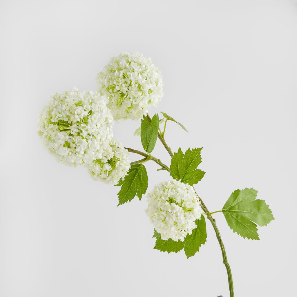 Home & You Flower — photo 2
