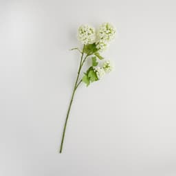 Home & You Flower — photo 3