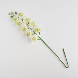 Home & You Flower — photo 2