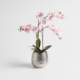 Home & You Flower — photo 1