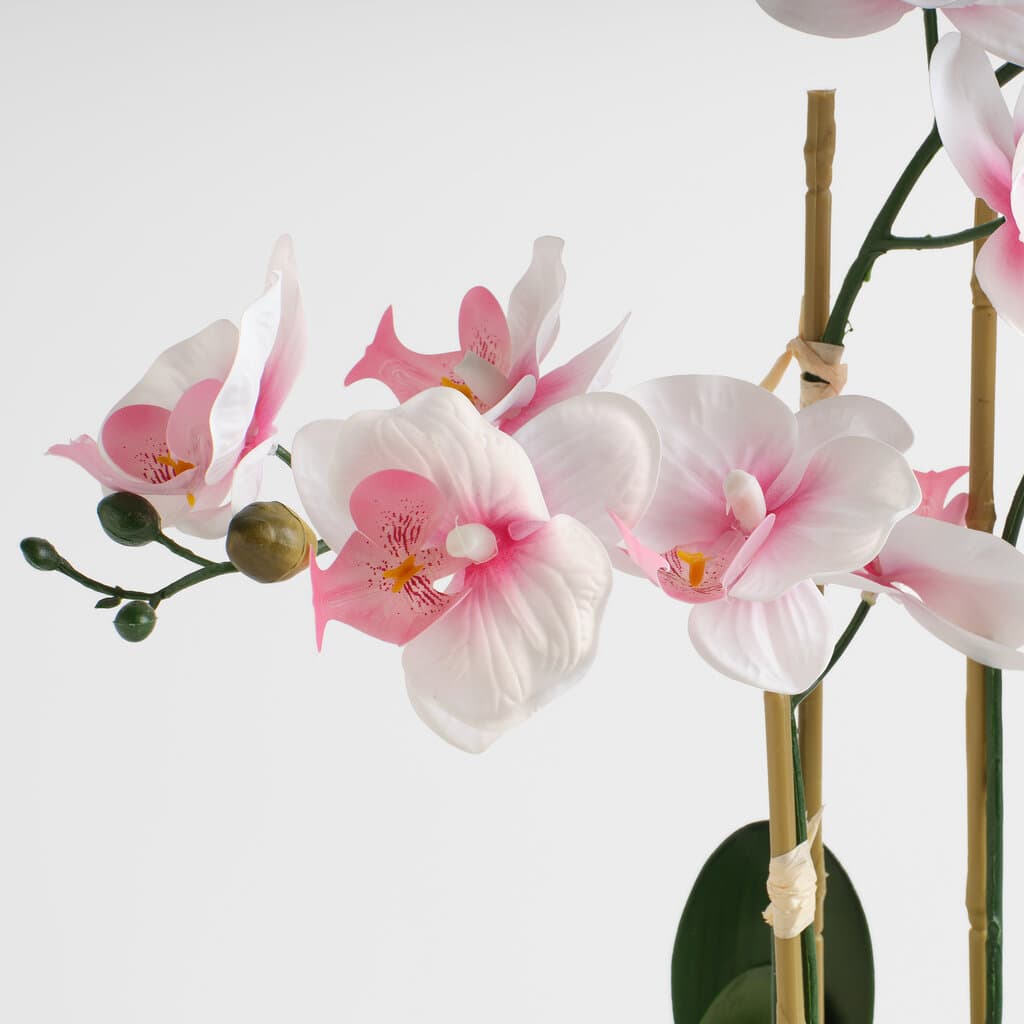 Home & You Flower — photo 3