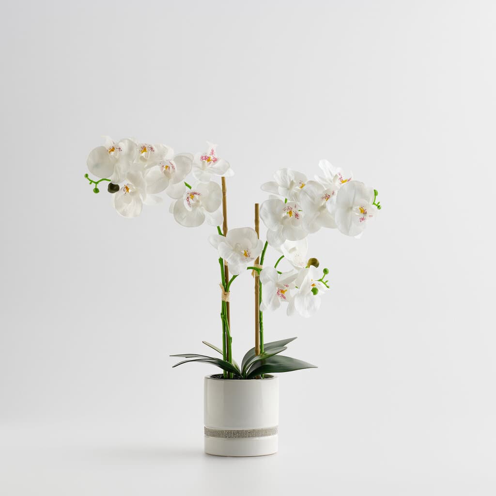Home & You Flower