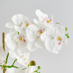 Home & You Flower — photo 3