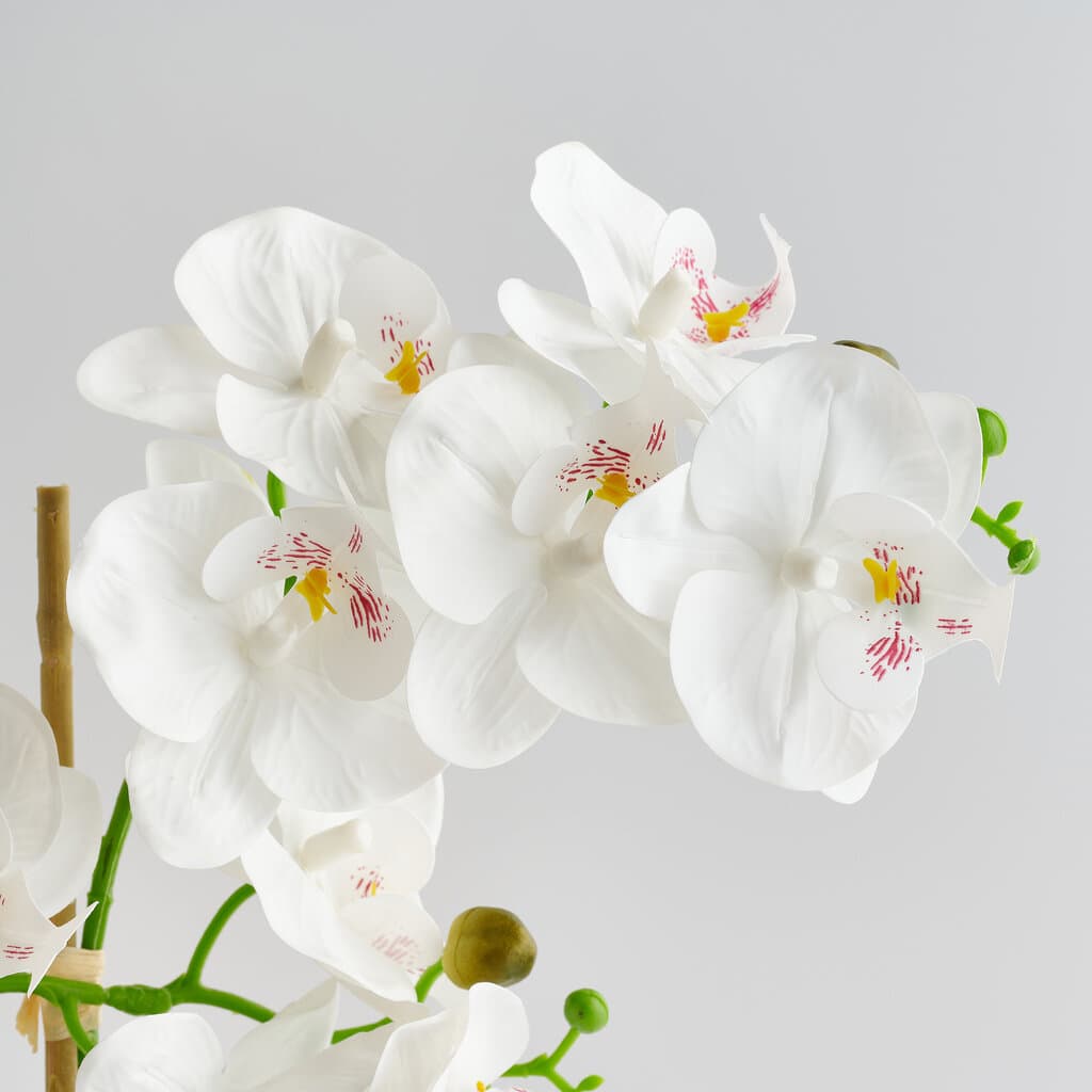 Home & You Flower — photo 3