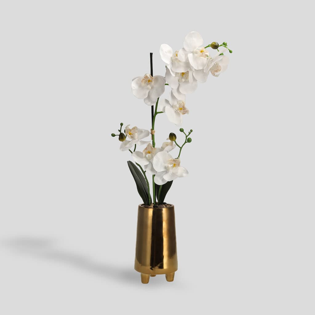 Home & You Flower