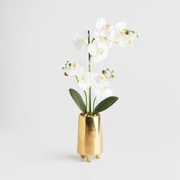Home & You Flower — photo 2