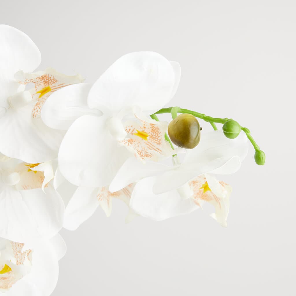 Home & You Flower — photo 4