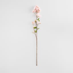 Home & You Flower — photo 2